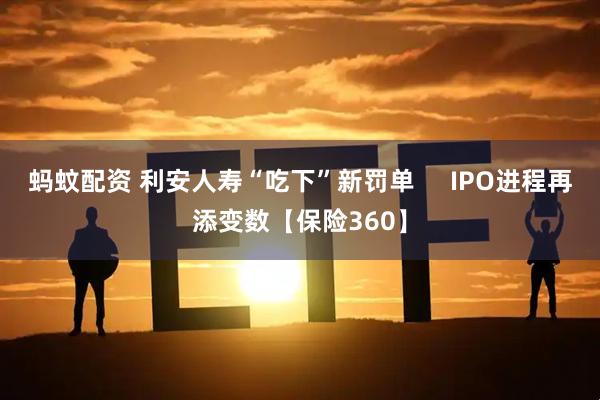 蚂蚊配资 利安人寿“吃下”新罚单     IPO进程再添变数【保险360】