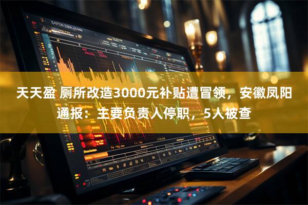 天天盈 厕所改造3000元补贴遭冒领，安徽凤阳通报：主要负责人停职，5人被查