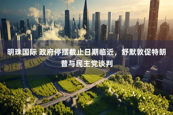 明珠国际 政府停摆截止日期临近，舒默敦促特朗普与民主党谈判