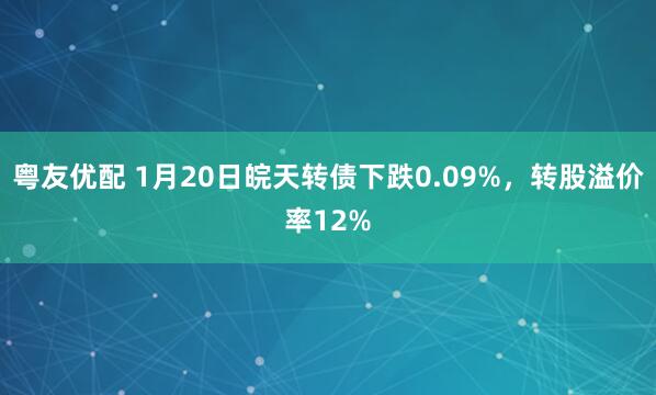 粤友优配 1月20日皖天转债下跌0.09%，转股溢价率12%